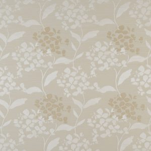 Hydrangea Oyster
